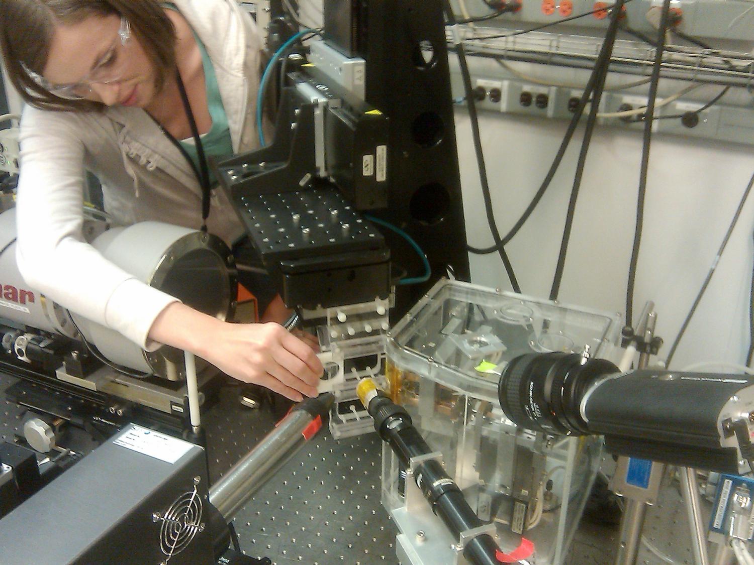 "Christina Lopano, research physical scientist at the Department of Energy's National Energy Technology Laboratory in Pittsburgh, uses knowledge of how minerals form to create more efficient ways of extracting metals and rare earth elements from coal waste byproducts. Lopano earned her doctorate from Penn State. Credit: Photo provided. All Rights Reserved."