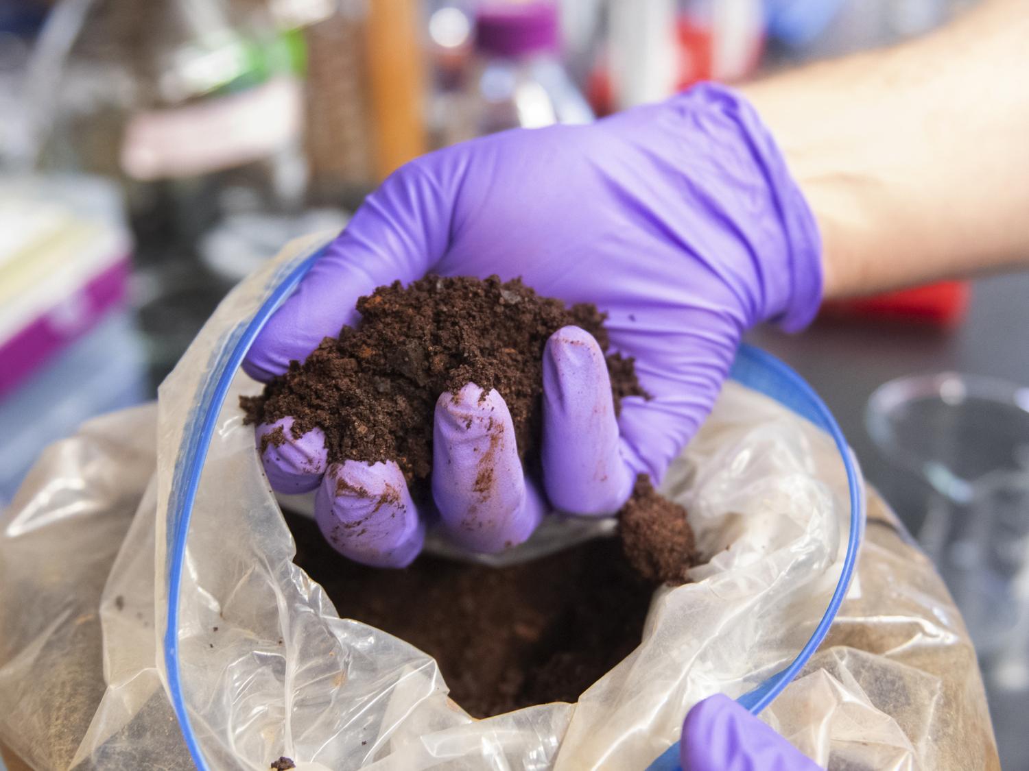 Joseph Cotruvo Jr., associate professor of chemistry at Penn State, holds a sample of a clay containing rare earths. His lab and their collaborators have previously developed a process to use a natural protein discovered by his group to recover rare earths from these types of sources. In a recent study, the team focused on separation of rare earths and discovered a new protein that can sort one rare earth from another. Credit: Patrick Mansell / Penn State. Creative Commons